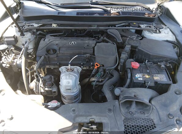 19UUB1F54HA002829 2017 ACURA TLX White Вид ззаду