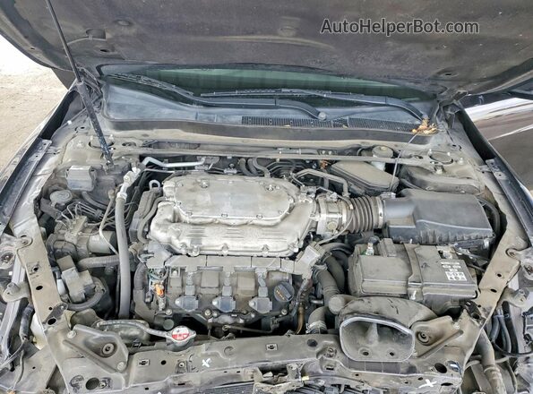 19UUB2F34GA005426 2016 ACURA TLX Фиолетовый Вид задней части салона