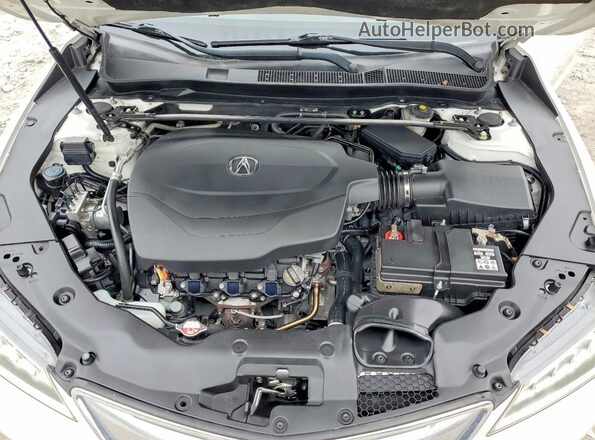 19UUB2F36GA003242 2016 ACURA TLX Белый Вид задней части салона