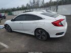2017 Honda Civic Ex-l Белый vin: 19XFC1F79HE029513