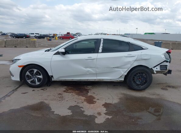 19XFC2F69LE016475 2020 HONDA CIVIC White 