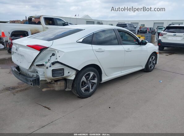19XFC2F69LE016475 2020 HONDA CIVIC White უკანა მარჯვენა