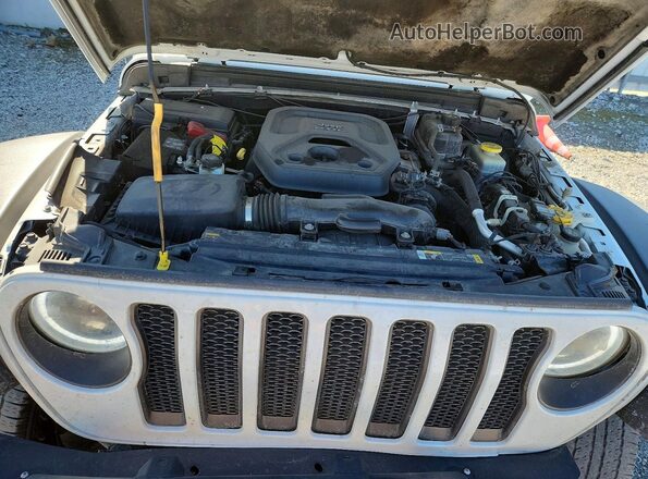 1C4HJXFN8PW595845 2023 JEEP WRANGLER Белый Вид задней части салона