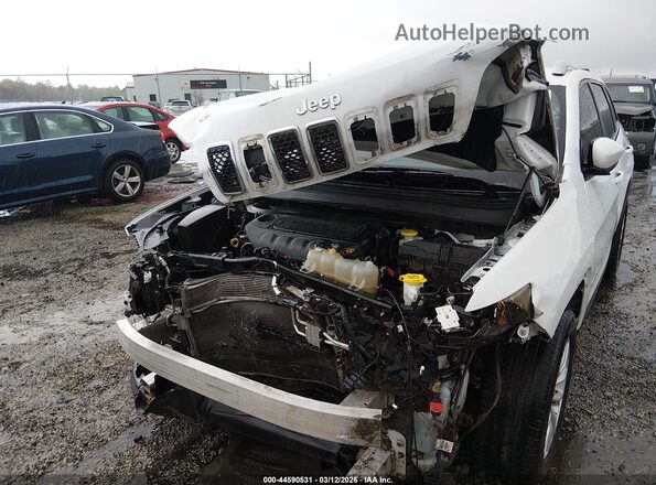 1C4PJLCB8LD514931 2020 JEEP CHEROKEE Белый Вид спереди