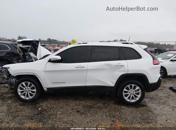 1C4PJLCB8LD514931 2020 JEEP CHEROKEE Белый 