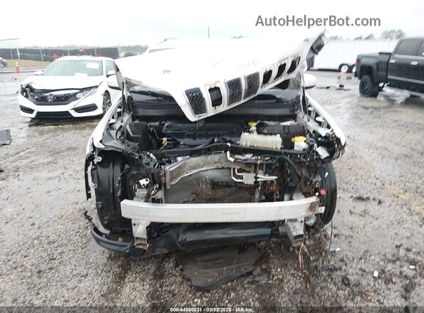 1C4PJLCB8LD514931 2020 JEEP CHEROKEE Белый Вид задней части салона