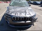 2019 Jeep Cherokee Limited Fwd Серый vin: 1C4PJLDB8KD185239