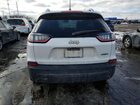 2019 Jeep Cherokee Latitude Plus Белый vin: 1C4PJLLB3KD225972