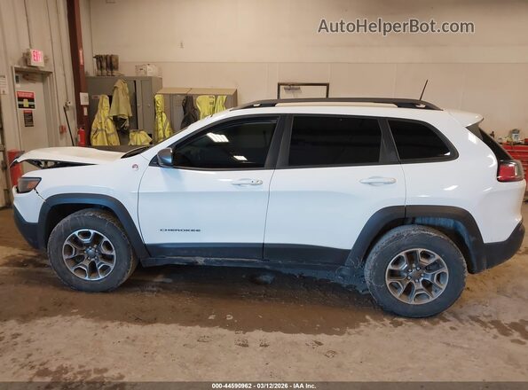 1C4PJMBX0LD583132 2020 JEEP CHEROKEE Белый Панорамный вид салона 360°