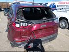 2019 Jeep Cherokee Trailhawk 4x4 Burgundy vin: 1C4PJMBX2KD361674