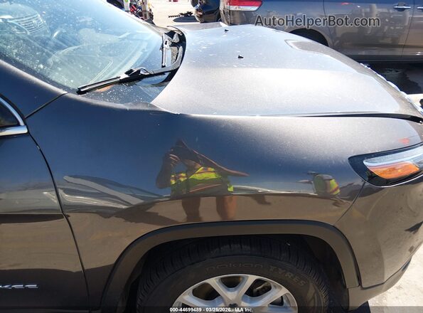 1C4PJMCB2HW525800 2017 JEEP CHEROKEE Серебряный 