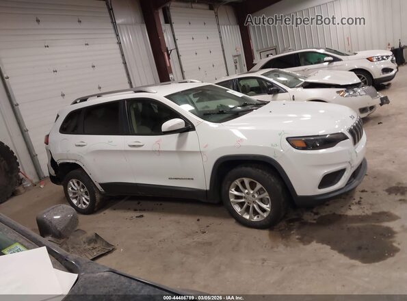 1C4PJMCB9LD626191 2020 JEEP CHEROKEE Белый Вид задней части салона