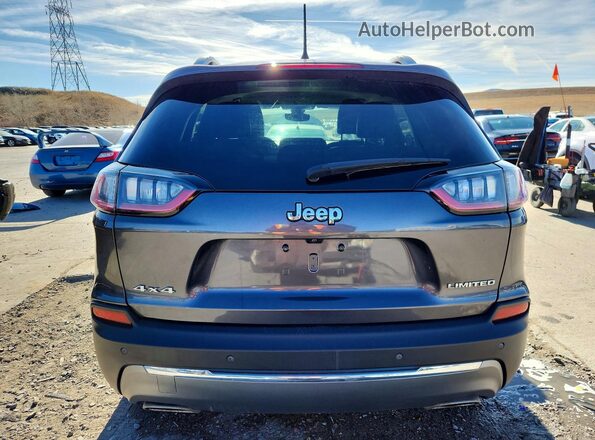 1C4PJMDX2LD583498 2020 JEEP CHEROKEE Серый Вид сзади