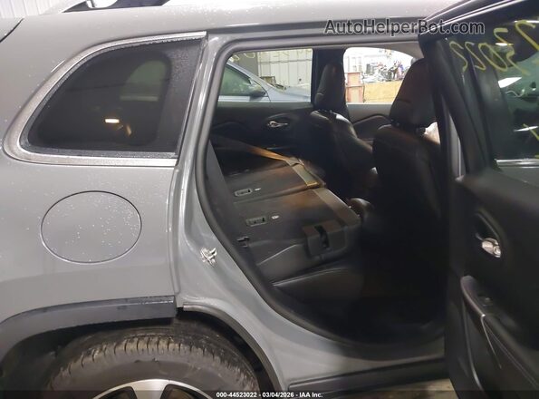 1C4PJMDX2LD588331 2020 JEEP CHEROKEE Gray Widok naklejki z numerem VIN