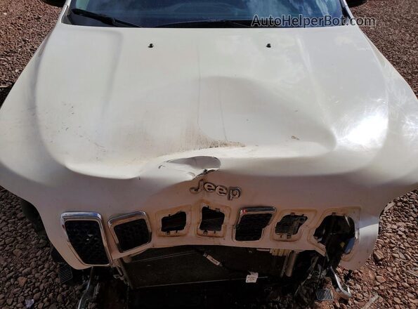 1C4PJMDX4ND548559 2022 JEEP CHEROKEE Белый Вид подкапотного пространства