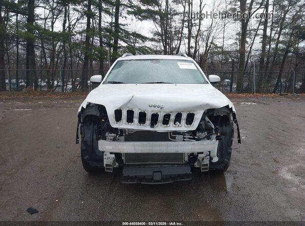 1C4PJMLB0KD237499 2019 JEEP CHEROKEE Белый Вид задней части салона