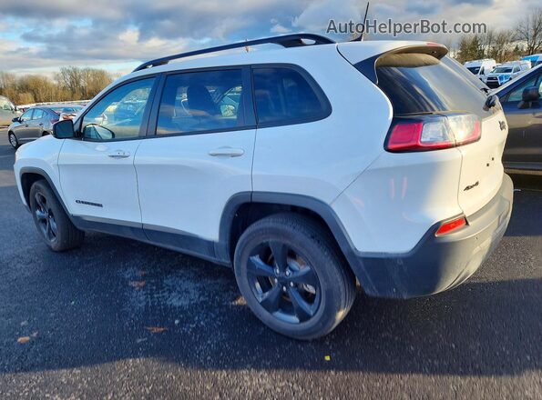 1C4PJMMB8PD103698 2023 JEEP CHEROKEE White უკანა მარცხენა