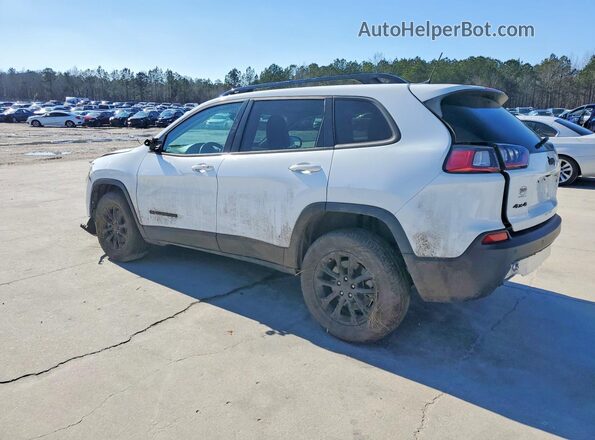 1C4PJMMBXPD111527 2023 JEEP CHEROKEE White უკანა მარცხენა