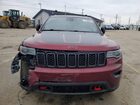 2019 Jeep Grand Cherokee Trailhawk Red vin: 1C4RJFLT4KC539896