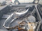 2017 Dodge Ram Черный vin: 1C6RR7NT2HS852107