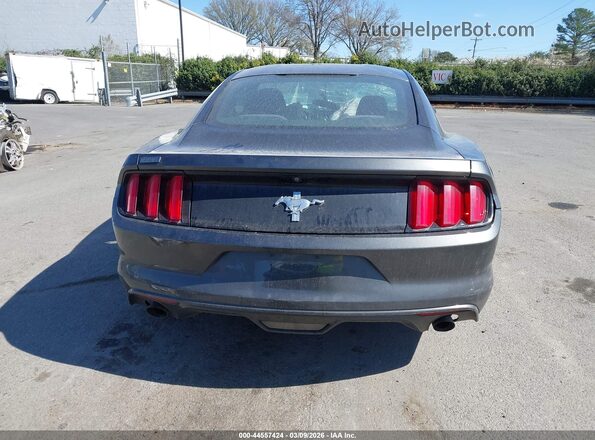 1FA6P8AM0H5339495 2017 FORD MUSTANG Серый 
