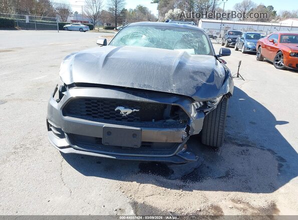 1FA6P8AM0H5339495 2017 FORD MUSTANG Серый Вид задней части салона