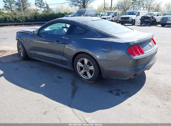 1FA6P8AM0H5339495 2017 FORD MUSTANG Серый Задняя левая четверть