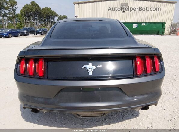 1FA6P8AM8G5309403 2016 FORD MUSTANG Серый 