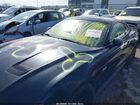 2019 Ford Mustang Gt Черный vin: 1FA6P8CF2K5182686