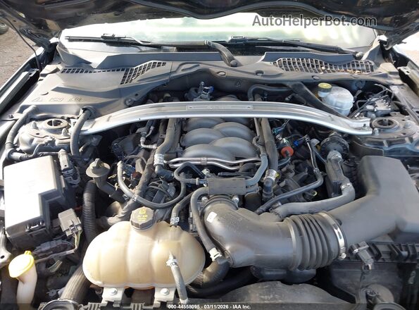 1FA6P8CF2K5182686 2019 FORD MUSTANG Черный Вид сзади