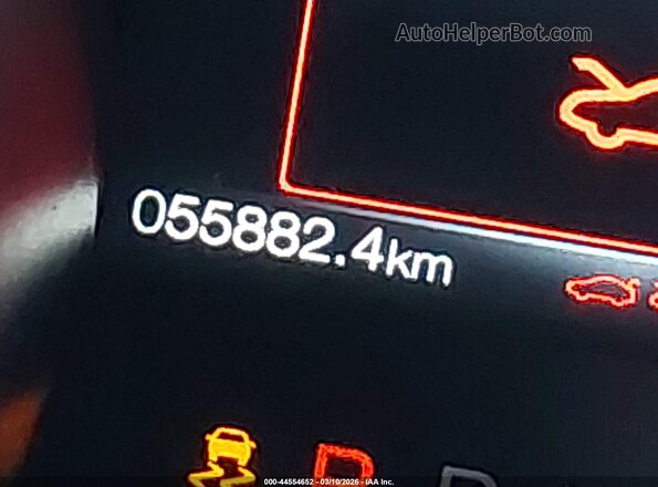 1FA6P8CF3K5176153 2019 FORD MUSTANG Синий Вид задних сидений