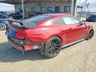 2019 Ford Mustang Gt Красный vin: 1FA6P8CF3K5194863