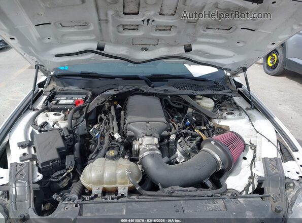 1FA6P8CF4K5106113 2019 FORD MUSTANG White Widok z tyłu