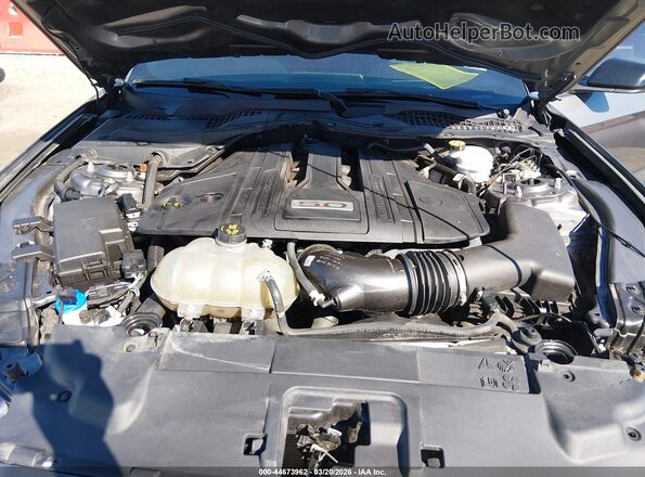 1FA6P8CF4M5118247 2021 FORD MUSTANG Серый Вид сзади