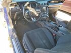 2019 Ford Mustang Gt Blue vin: 1FA6P8CF8K5176603