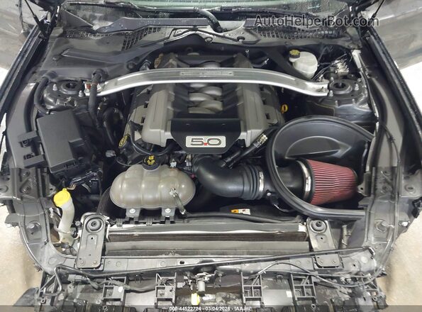 1FA6P8CFXG5227350 2016 FORD MUSTANG Серый Вид сзади
