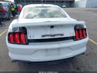 2021 Ford Mustang Gt Fastback White vin: 1FA6P8CFXM5151950