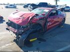 2021 Ford Mustang Gt Fastback Красный vin: 1FA6P8CFXM5157358