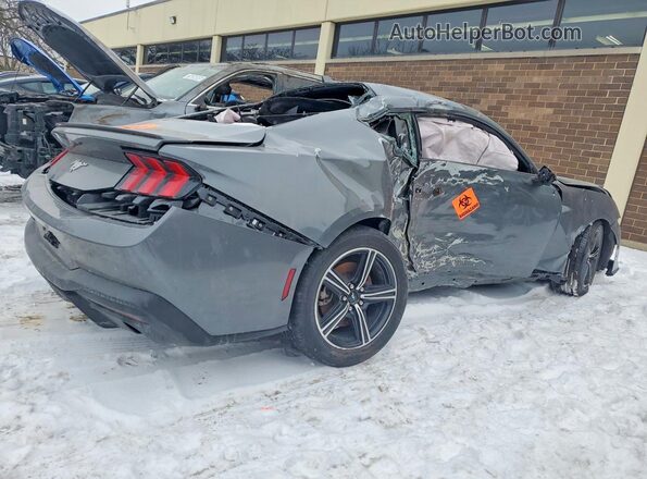 1FA6P8TH0R5120800 2024 FORD MUSTANG Gray Tył prawy