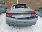 2024 Ford Mustang Gray vin: 1FA6P8TH0R5120800
