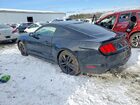2017 Ford Mustang Черный vin: 1FA6P8TH2H5304540