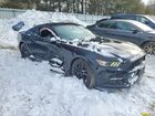 2017 Ford Mustang Черный vin: 1FA6P8TH2H5304540