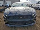 2018 Ford Mustang Черный vin: 1FA6P8TH2J5159120
