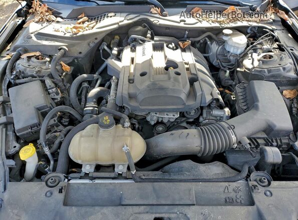 1FA6P8TH2J5159120 2018 FORD MUSTANG Черный Вид задней части салона