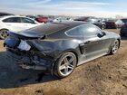 2019 Ford Mustang Black vin: 1FA6P8TH2K5130296