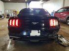 2020 Ford Mustang Black vin: 1FA6P8TH2L5102936