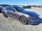 2020 Ford Mustang Black vin: 1FA6P8TH2L5186174
