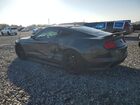 2019 Ford Mustang Gray vin: 1FA6P8TH3K5167082