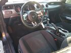 2019 Ford Mustang Gray vin: 1FA6P8TH3K5167082