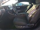 2019 Ford Mustang Gray vin: 1FA6P8TH3K5167082